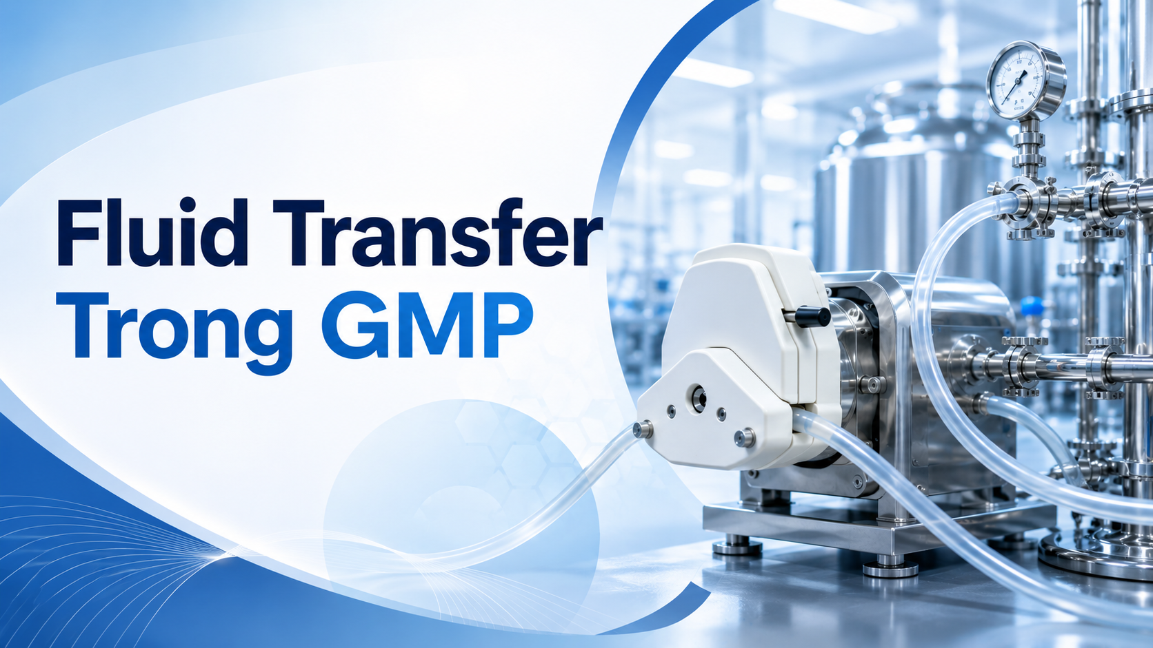Fluid transfer trong GMP
