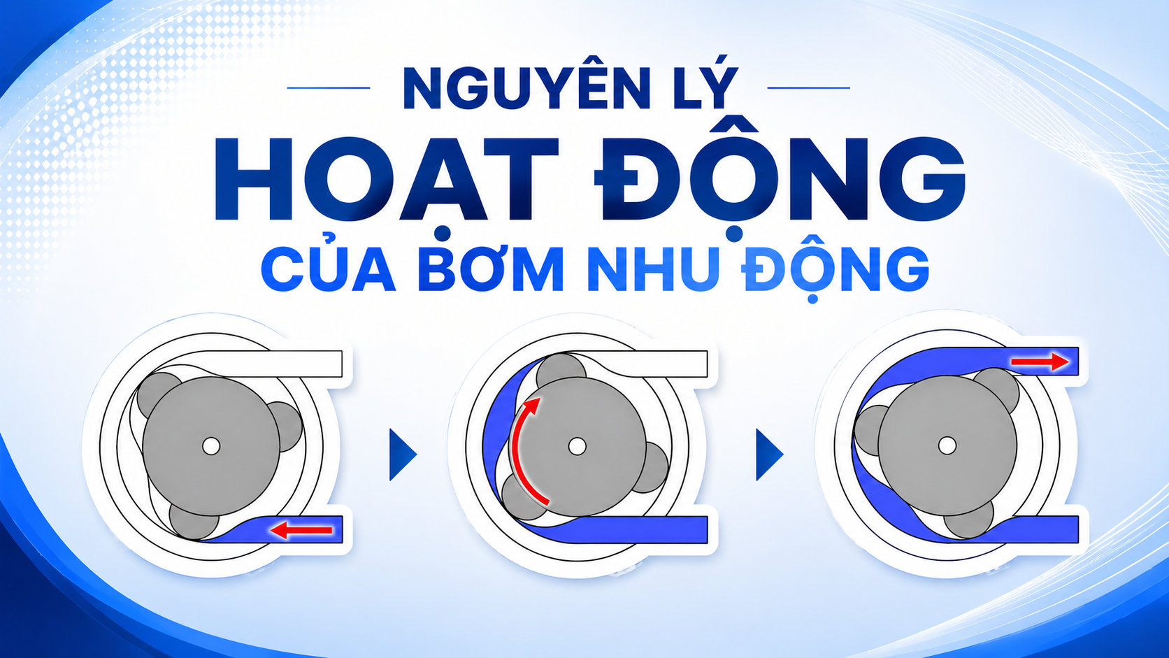 Nguyên lý hoạt động của bơm nhu động Masterflex