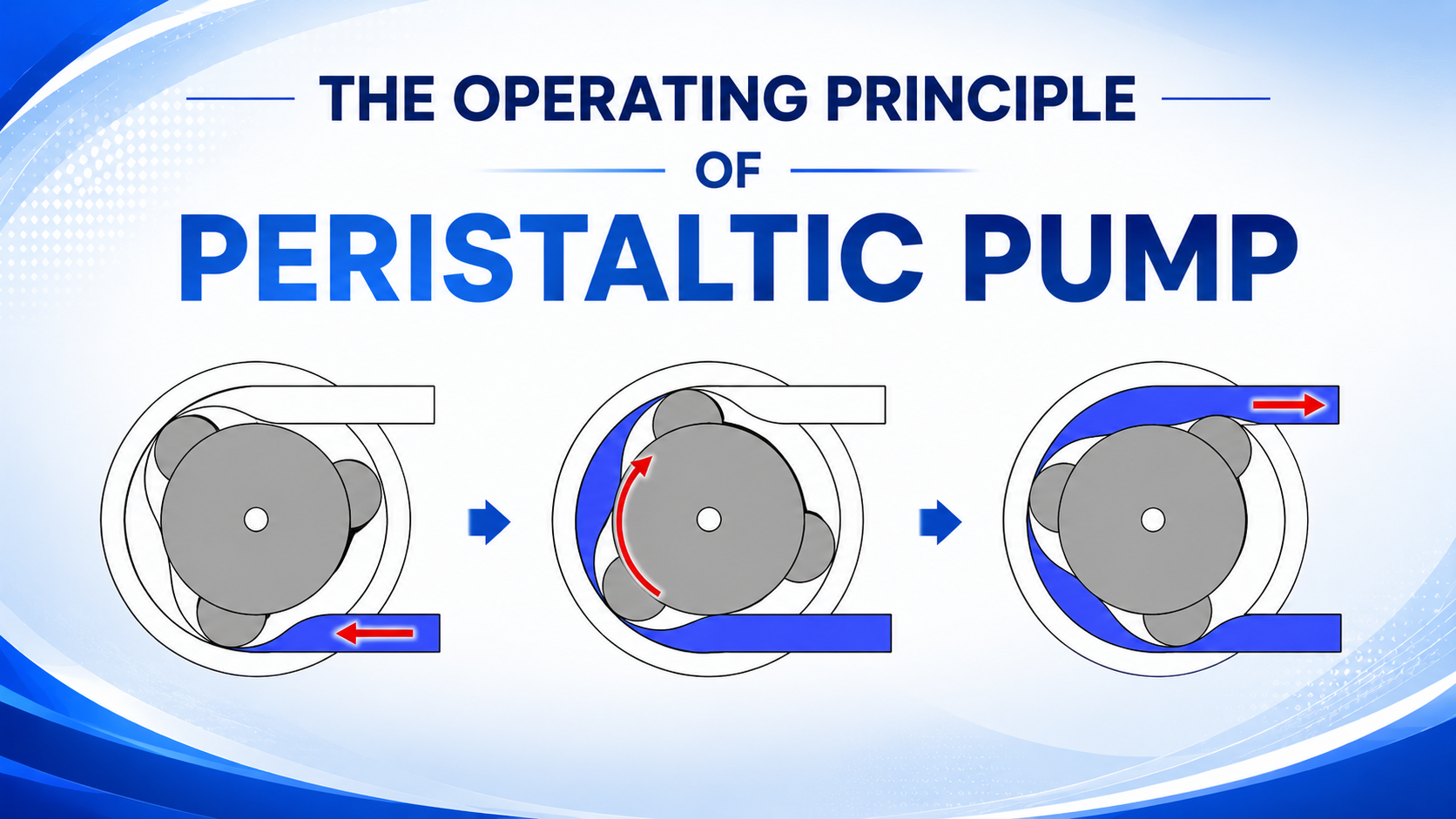 Working principle of Masterflex peristaltic pump